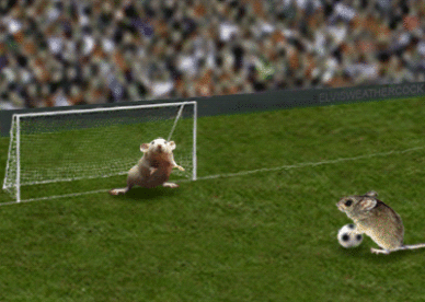Penalty Animals Sport Animated Gif Pictures For Facebook, Whatsapp, Instagram And Twitter Animated Gif Images GIFs Center